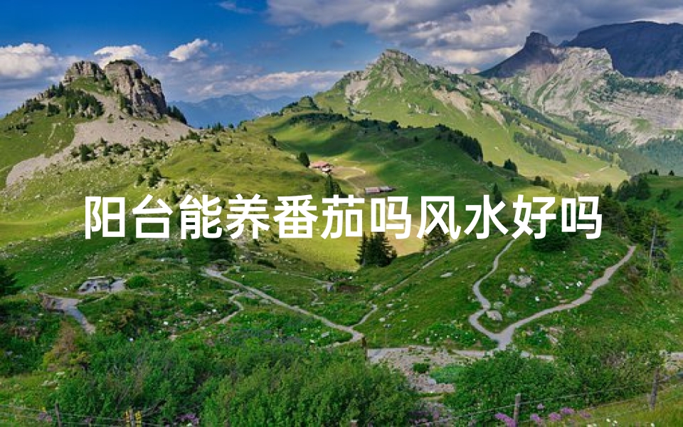 阳台能养番茄吗风水好吗;阳台养番茄风水解析：适宜种植的阳台风水秘诀