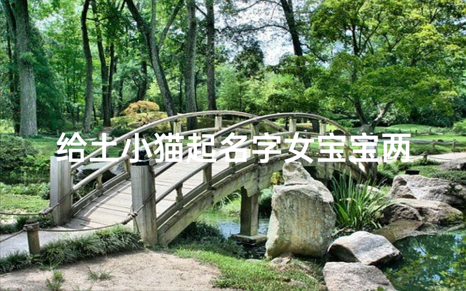 给土小猫起名字女宝宝两个字(2025女宝宝好听的小名鸡年小名大全)