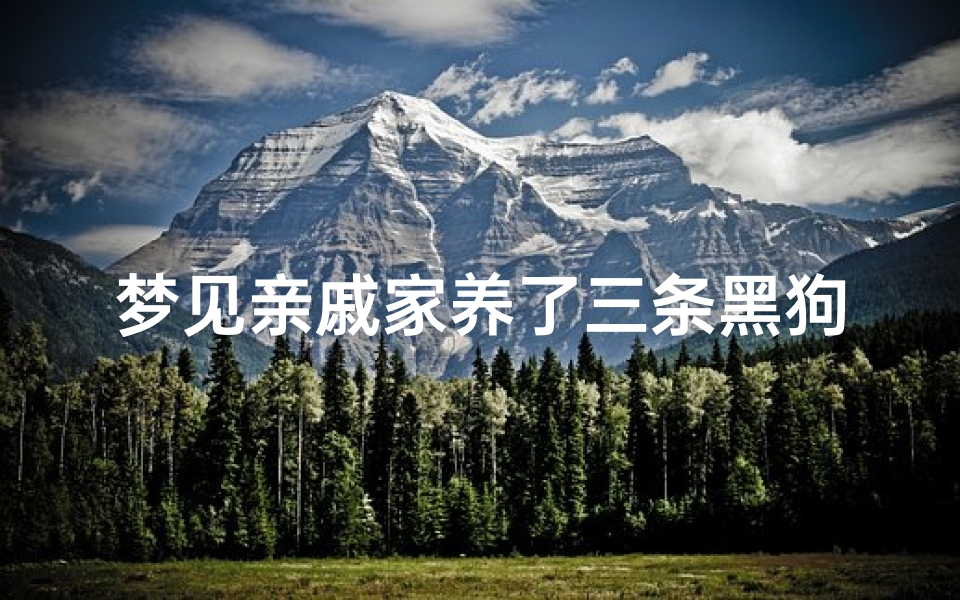 梦见亲戚家养了三条黑狗—梦见自己家养了一条大黑狗