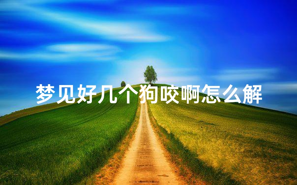 梦见好几个狗咬啊怎么解释—做梦好几个狗要咬我怎么回事?-海瑞算卦网