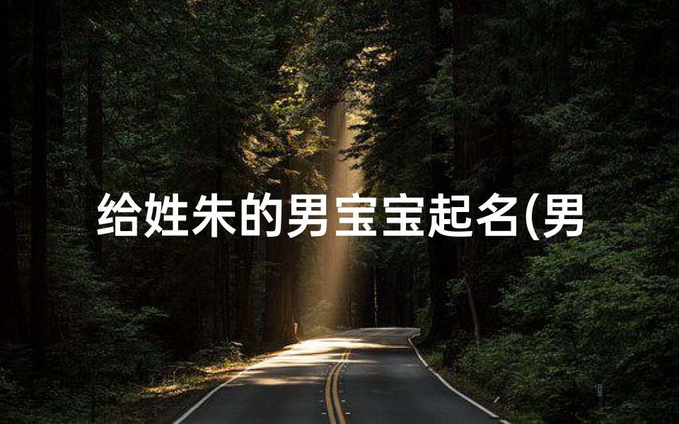给姓朱的男宝宝起名(男孩子取名字大全姓朱属龙)