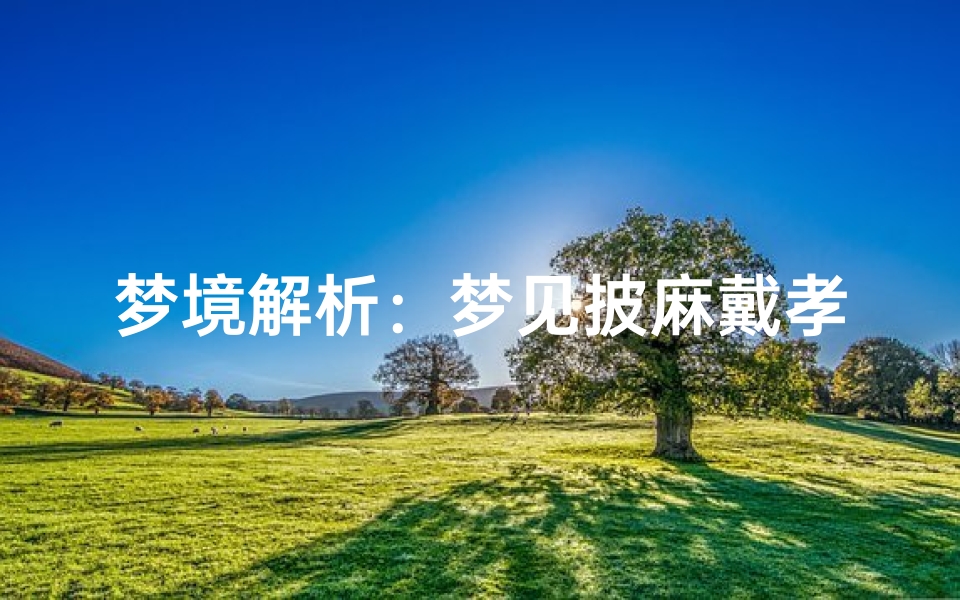 梦境解析:梦见披麻戴孝,预示着什么?