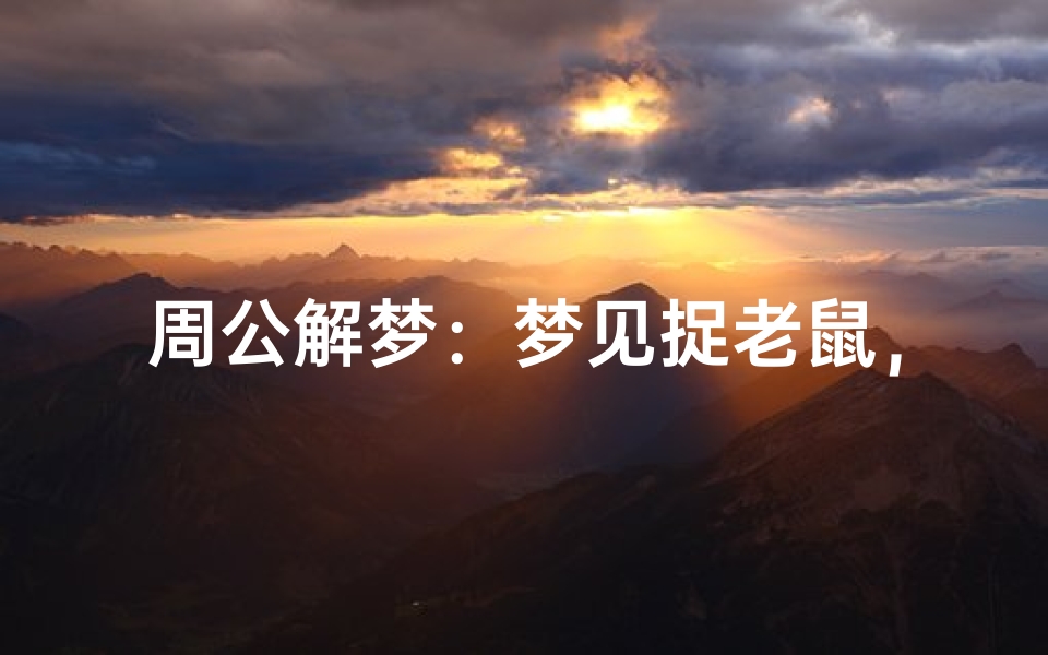周公解梦:梦见捉老鼠,预示着什么?