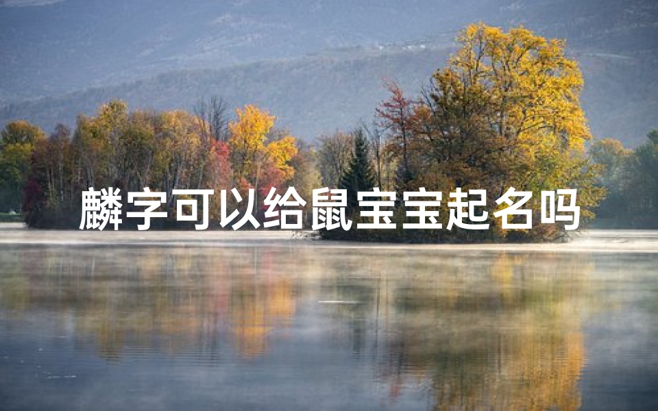 麟字可以给鼠宝宝起名吗(鼠年宝宝带米字的名字)