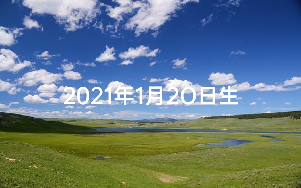 2021年1月2O日生肖运势_2021年1月20日生肖运势揭秘:运势起伏大揭秘
