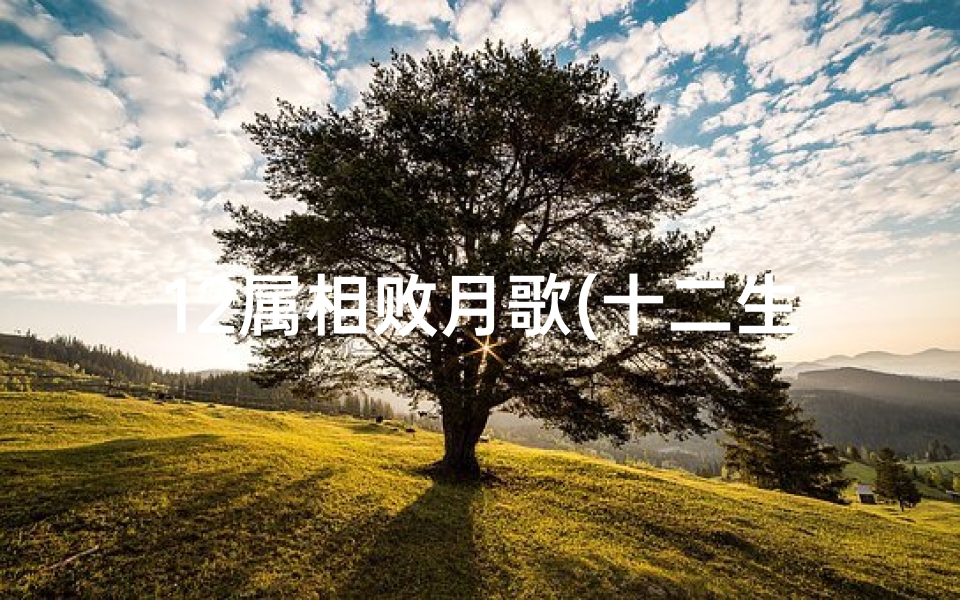 12属相败月歌(十二生肖败月顺口溜是什么 )