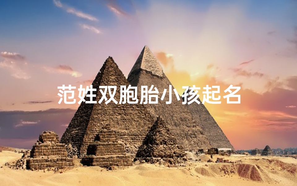 范姓双胞胎小孩起名