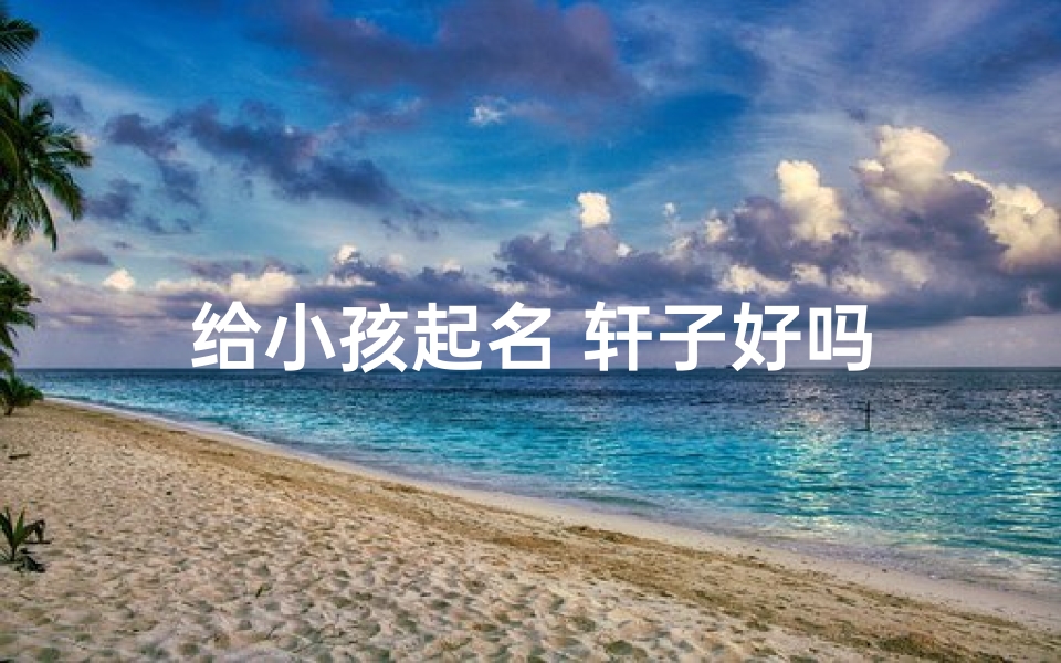 给小孩起名 轩子好吗
