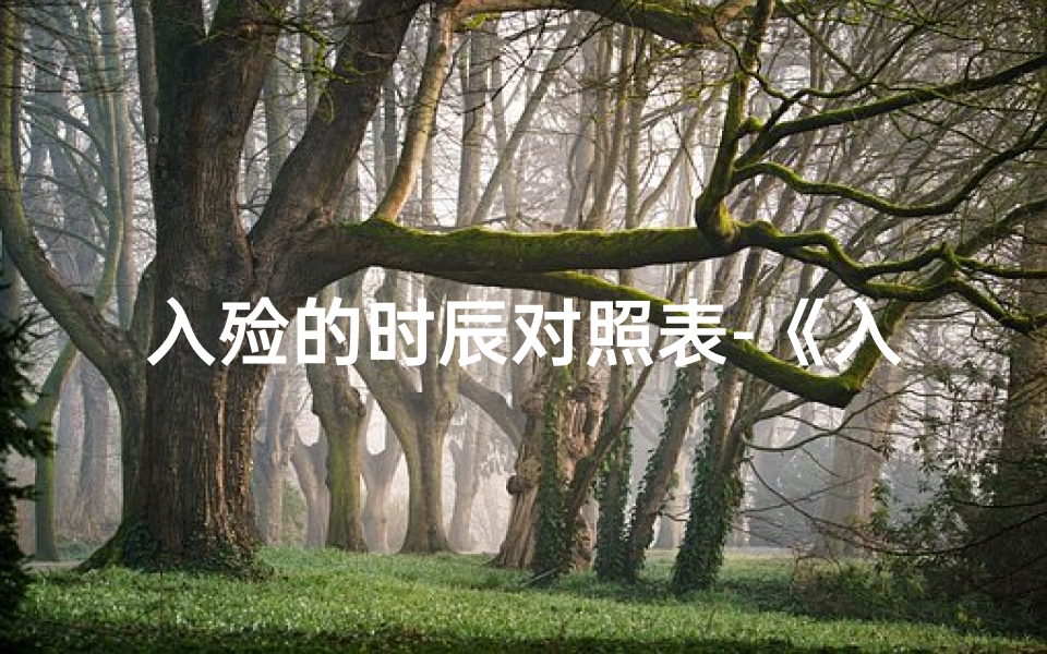 入殓的时辰对照表-《入殓时辰吉凶查询大全宝典》