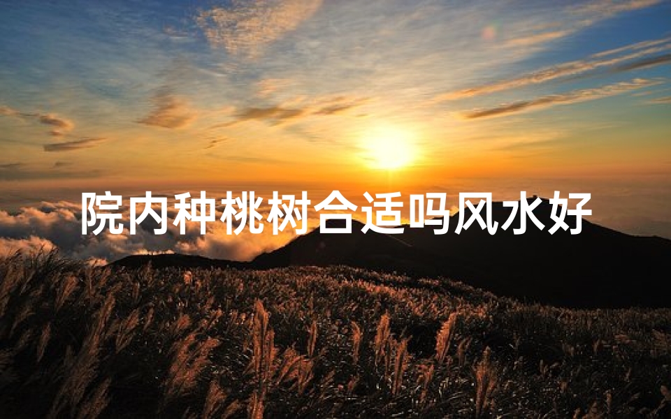 院内种桃树合适吗风水好吗