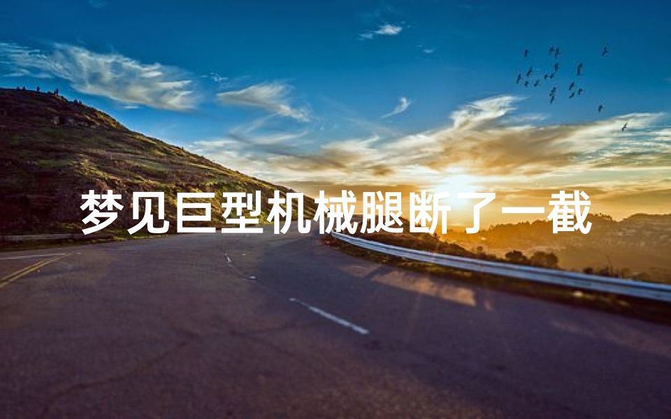梦见巨型机械腿断了一截-梦见鸡腿断了