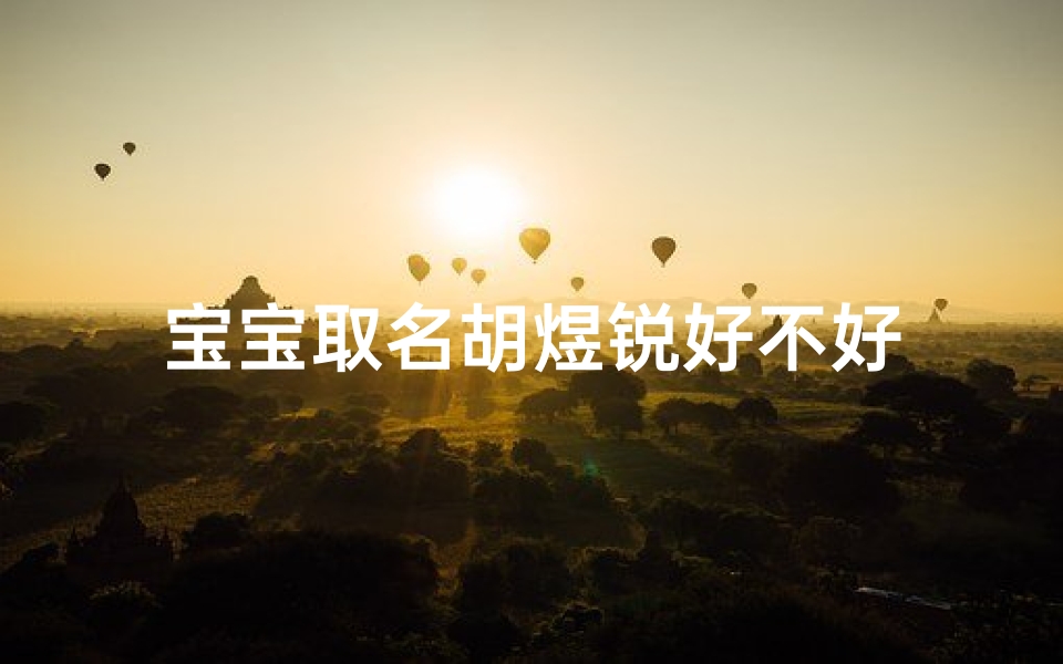 宝宝取名胡煜锐好不好