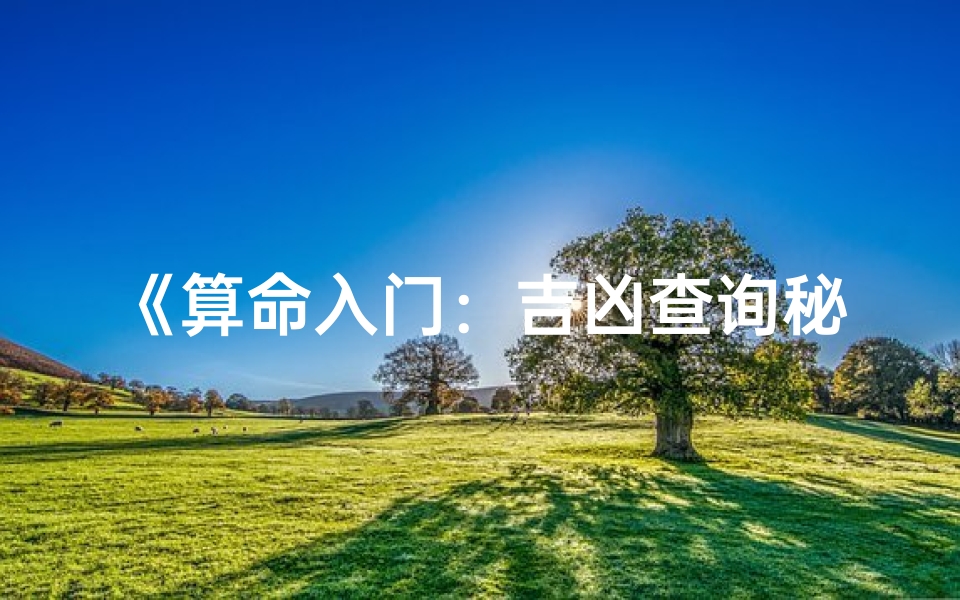 《算命入门:吉凶查询秘籍大公开》-海瑞算卦网