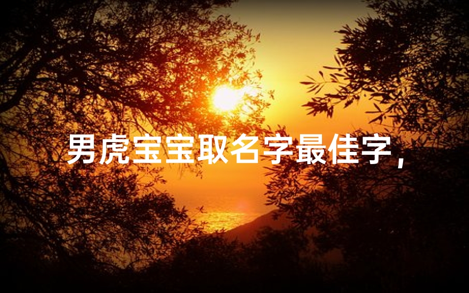 男虎宝宝取名字最佳字,生辰八字与生肖命理完美融合-海瑞算卦网
