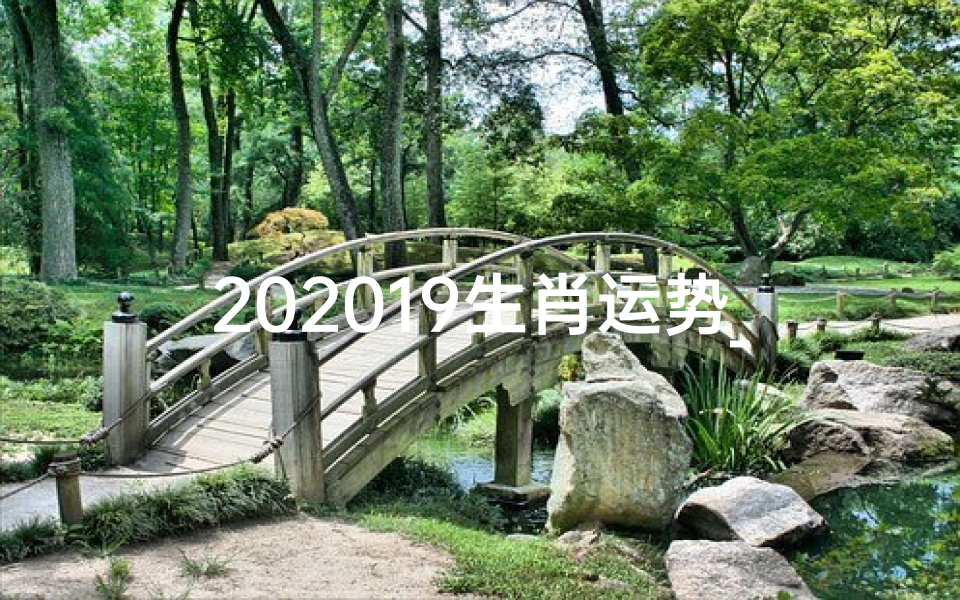 202019生肖运势_19年生肖运势