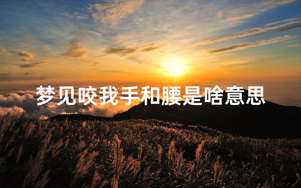 梦见咬我手和腰是啥意思_梦见自己咬自己的手背是什么意思