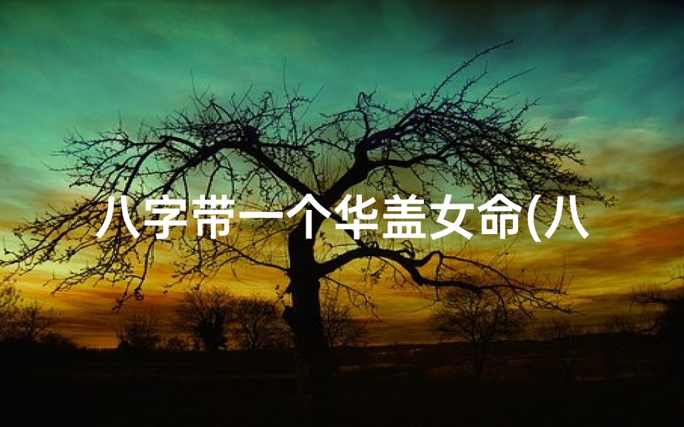 八字带一个华盖女命(八字华盖女命:神秘魅力与命运之谜)