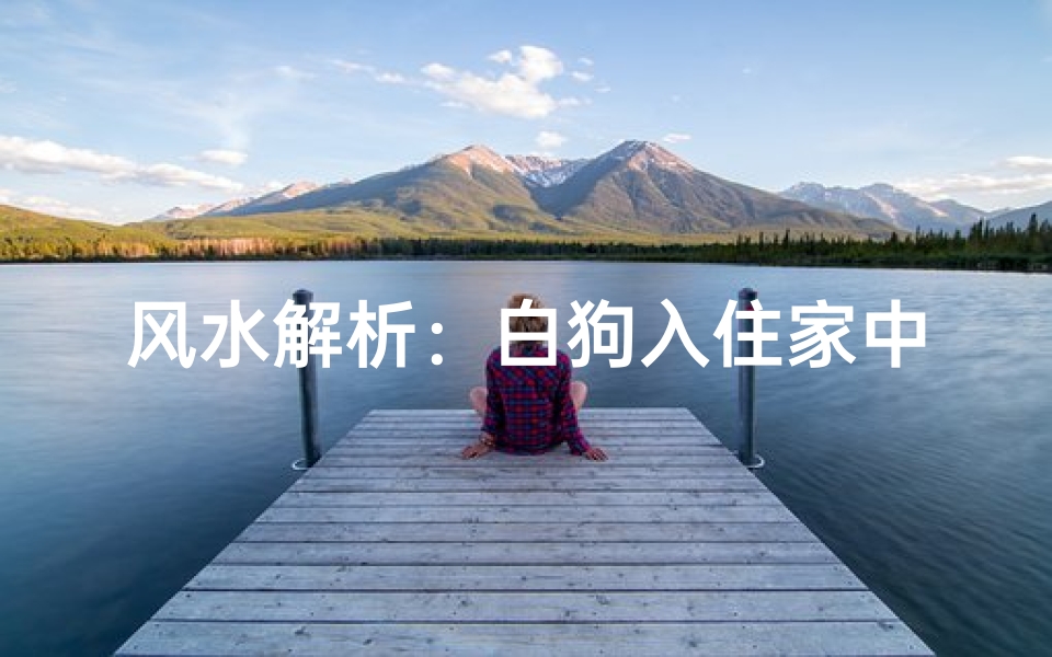 风水解析:白狗入住家中,适宜与否?