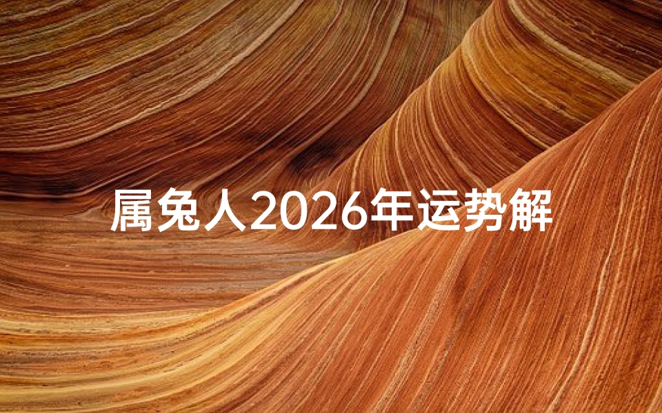 属兔人2026年运势解析,事业财运感情健康全指南