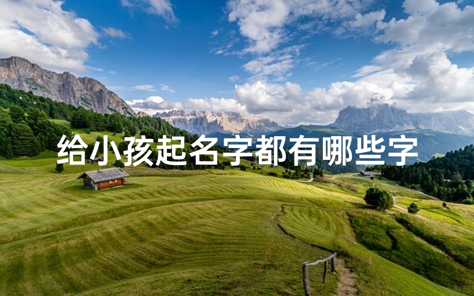 给小孩起名字都有哪些字体_《宝宝取名秘籍:精选百个吉祥好名字》