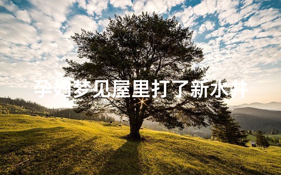 孕妇梦见屋里打了新水井—孕妇梦见井水打水是男女