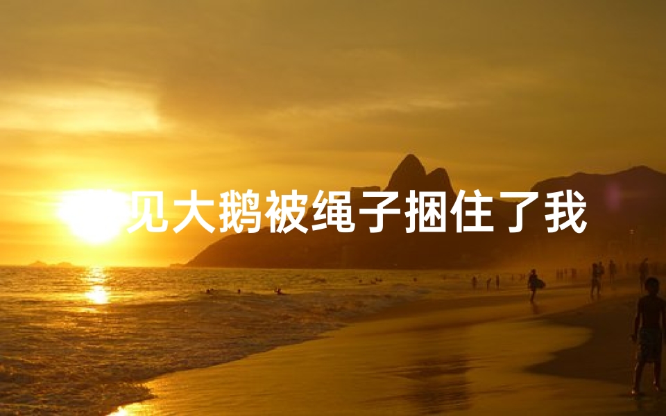 梦见大鹅被绳子捆住了我给解开了—梦见大鹅脖子被砍出血啥意思