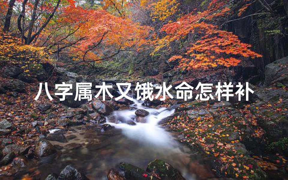 八字属木又饿水命怎样补,木命属水什么意思