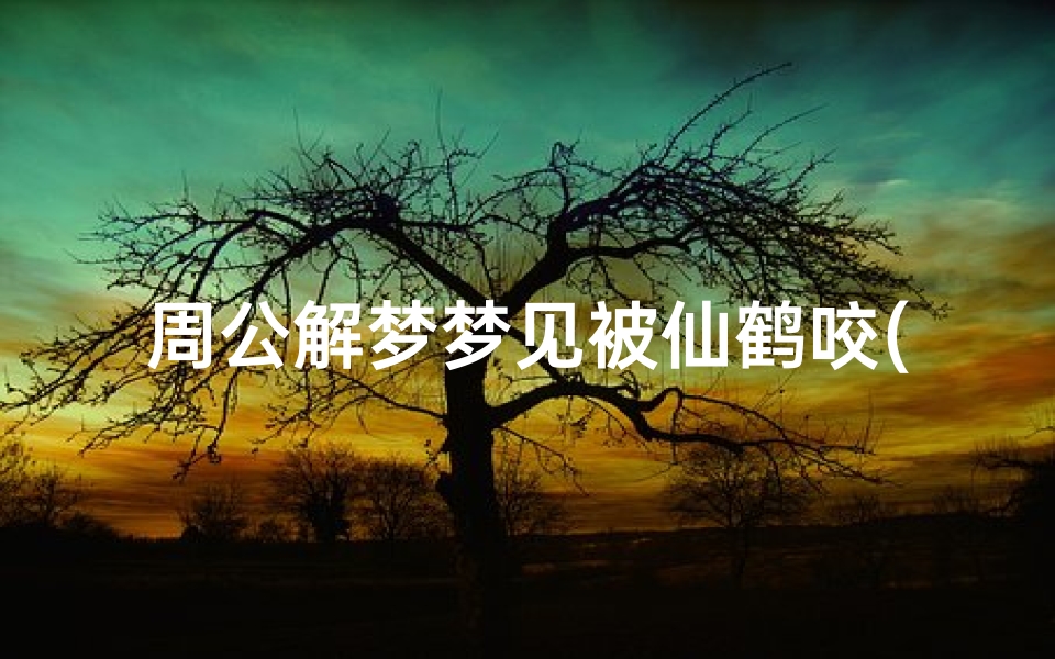 周公解梦梦见被仙鹤咬(梦见仙鹤是什么意思)