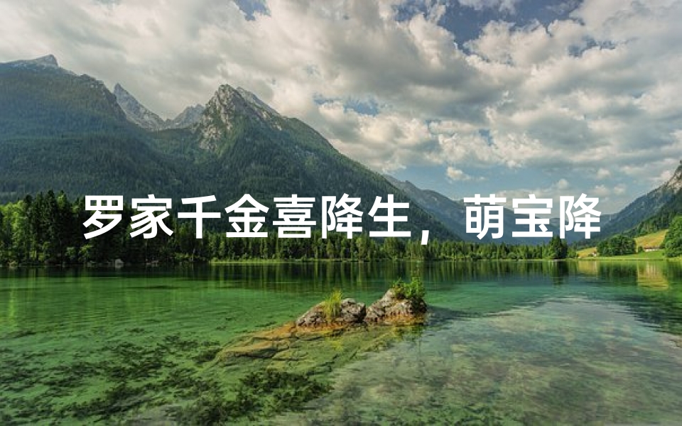 罗家千金喜降生,萌宝降临添欢笑