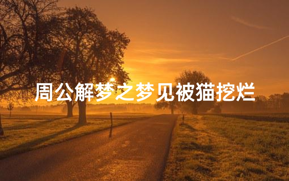 周公解梦之梦见被猫挖烂手(梦见被猫抓破皮的预兆)