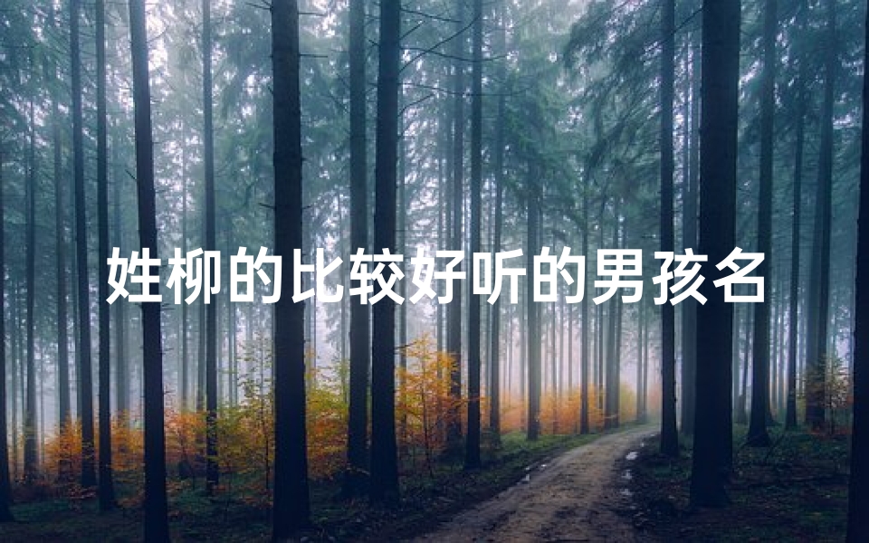 姓柳的比较好听的男孩名字(《吴柳姓男孩取名大全:寓意美好,独具特色》)