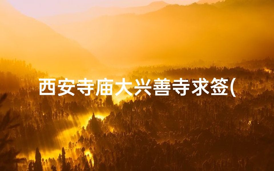 西安寺庙大兴善寺求签(西安大年初一哪个寺庙祈福)