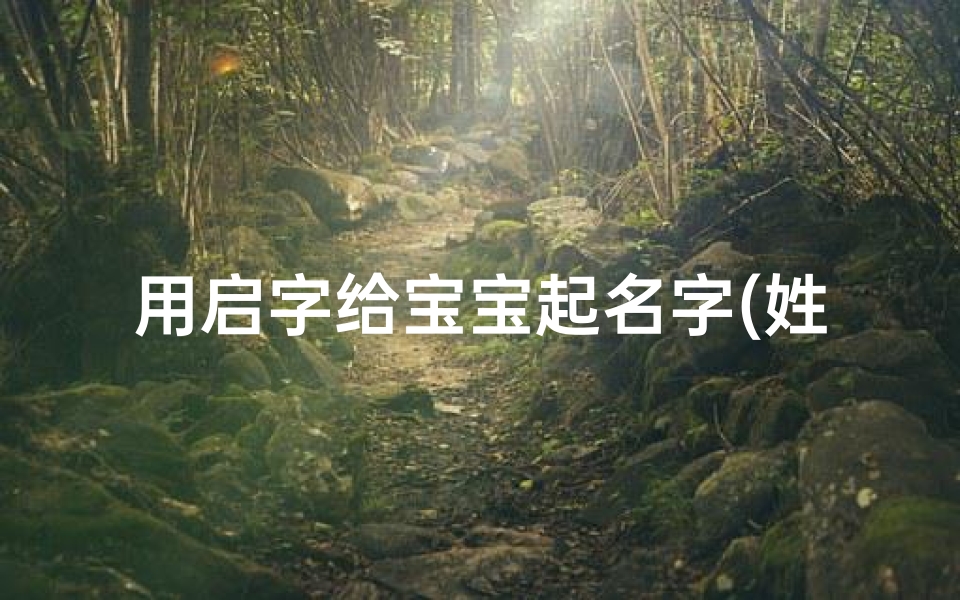 用启字给宝宝起名字(姓刘的男孩是启字辈的)