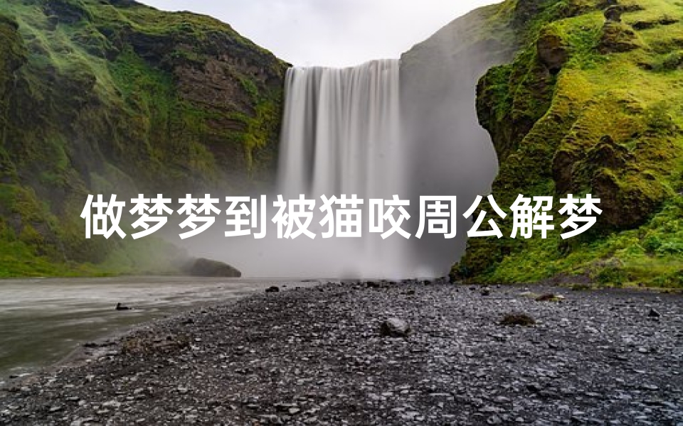 做梦梦到被猫咬周公解梦(梦见被猫咬了是什么意思 )