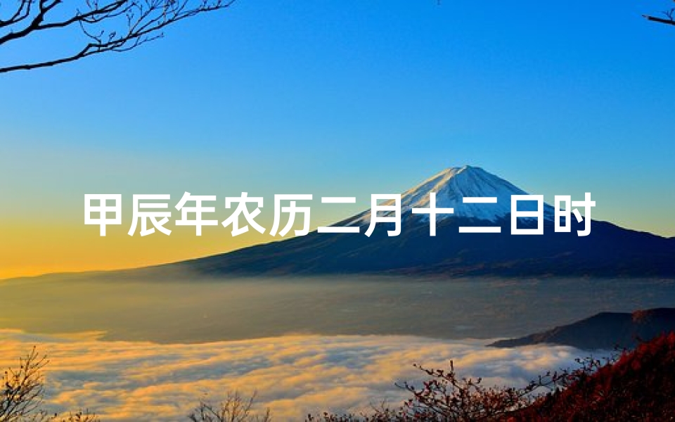 甲辰年农历二月十二日时辰吉凶、甲辰年二月十二日时辰吉凶揭秘
