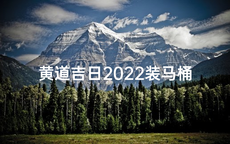 黄道吉日2022装马桶
