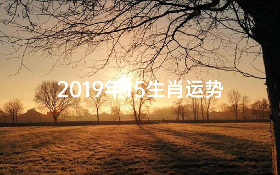 2019年15生肖运势_2019年12生肖每月运程