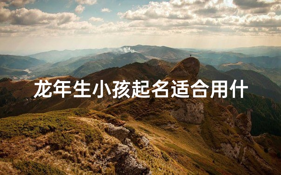 龙年生小孩起名适合用什么字