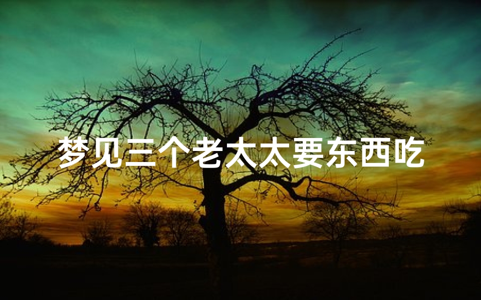梦见三个老太太要东西吃;梦见一个老太太给我要饭吃