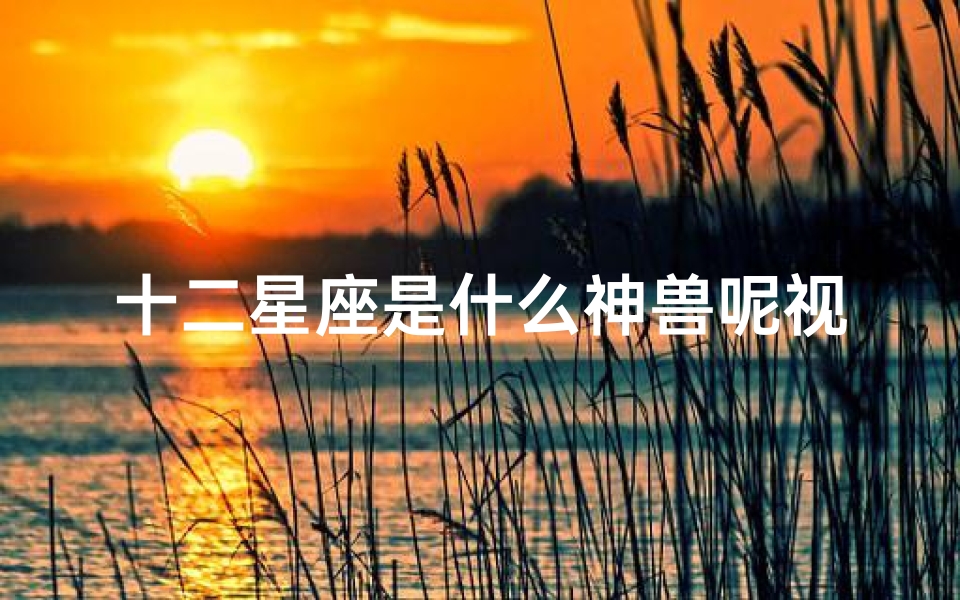 十二星座是什么神兽呢视频(谁知道十二星座的守护神兽是什么 )