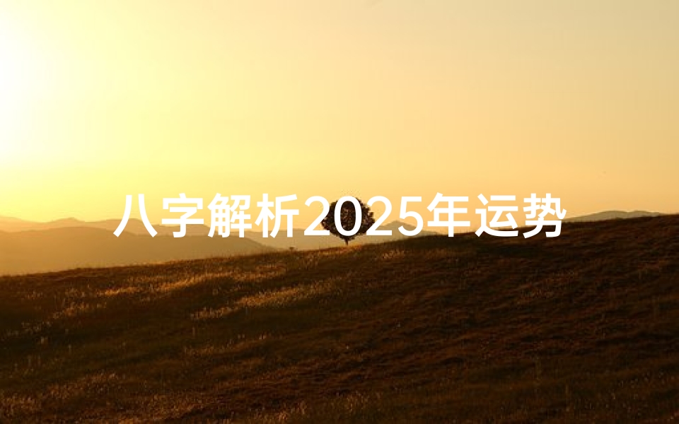 八字解析2025年运势趋势,天干地支与流年吉凶分析
