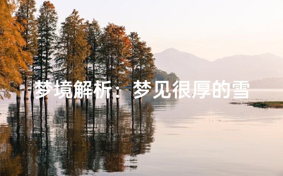 梦境解析:梦见很厚的雪,隐藏的运势暗示与心理投射