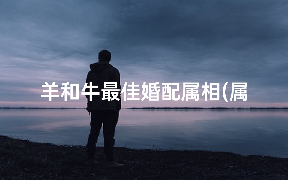 羊和牛最佳婚配属相(属牛和属羊的人合吗属羊和属牛的在一起财运如何)