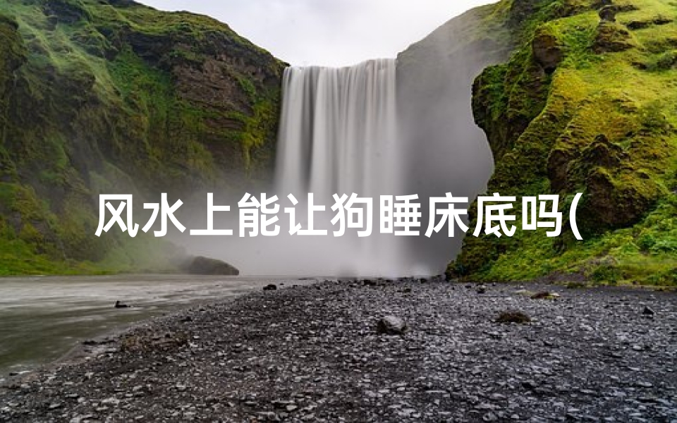 风水上能让狗睡床底吗(狗睡床底风水禁忌揭秘)