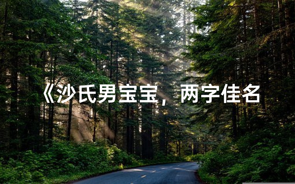 《沙氏男宝宝,两字佳名彰显风采》