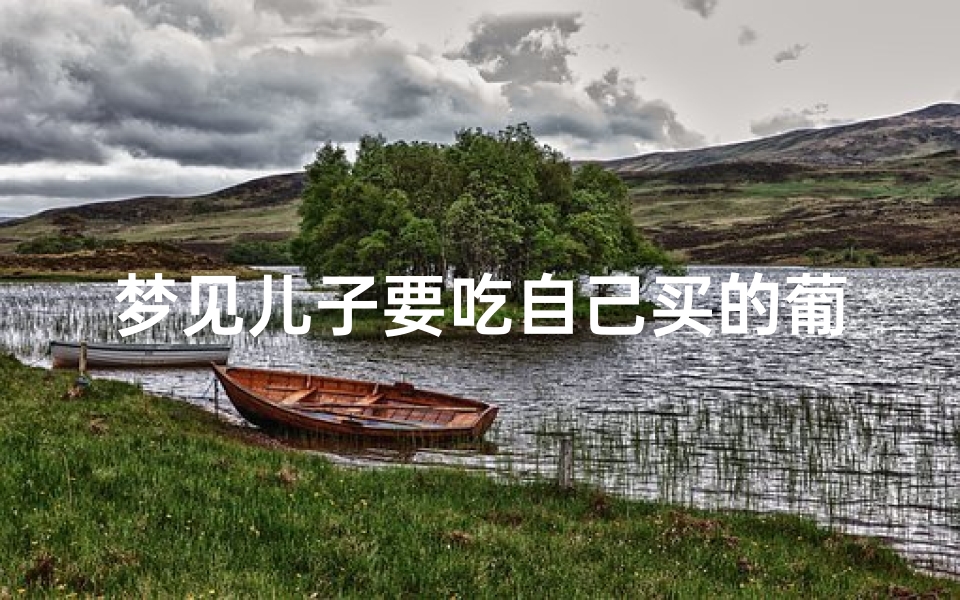 梦见儿子要吃自己买的葡萄(梦见吃葡萄是送子梦吗)