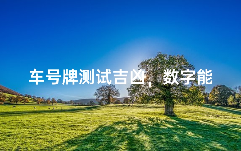 车号牌测试吉凶，数字能量与车主运势的深度解析