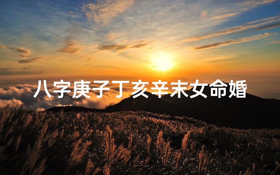 八字庚子丁亥辛末女命婚姻-庚子丁亥辛酉乙未