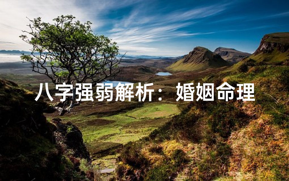 八字强弱解析:婚姻命理揭秘八字强弱