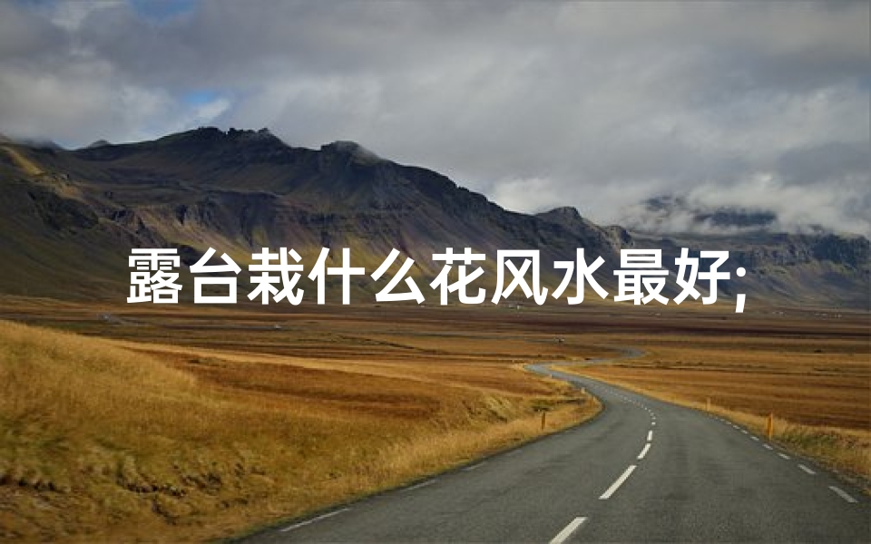 露台栽什么花风水最好;露台养花风水影响揭秘